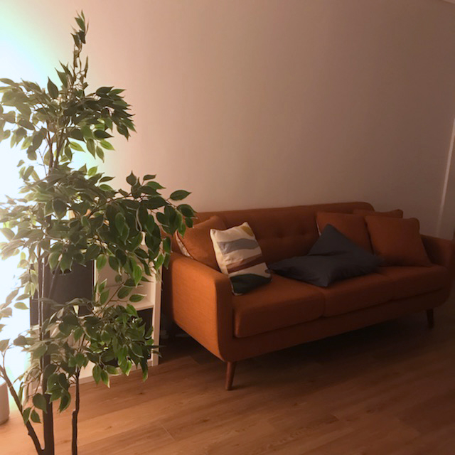Potted plant in a bright corner