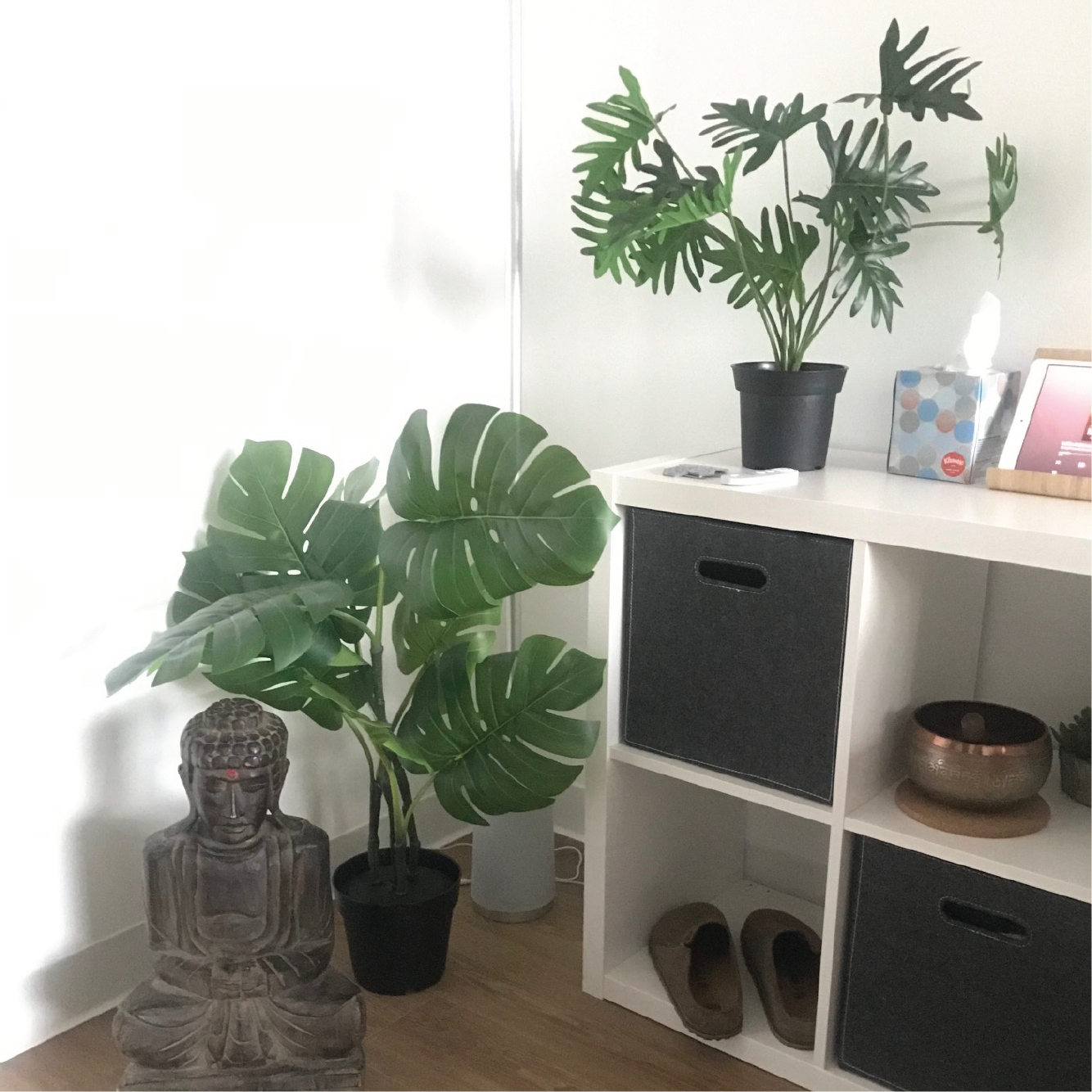 Room interior with a potted plant
