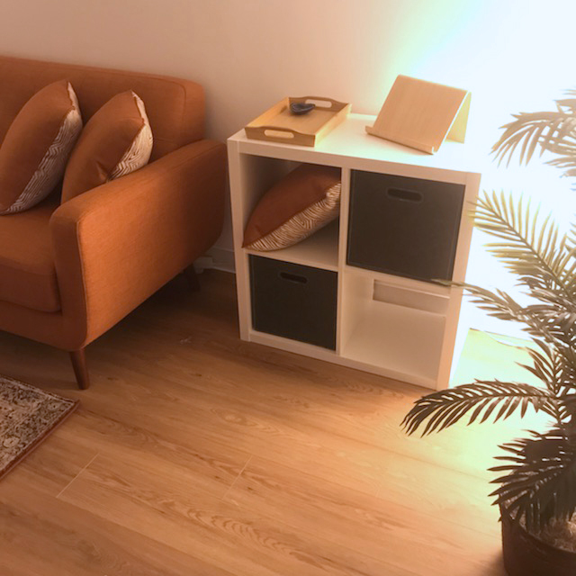 Room interior with shelving
