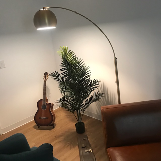 Room with a floor lamp and potted plant
