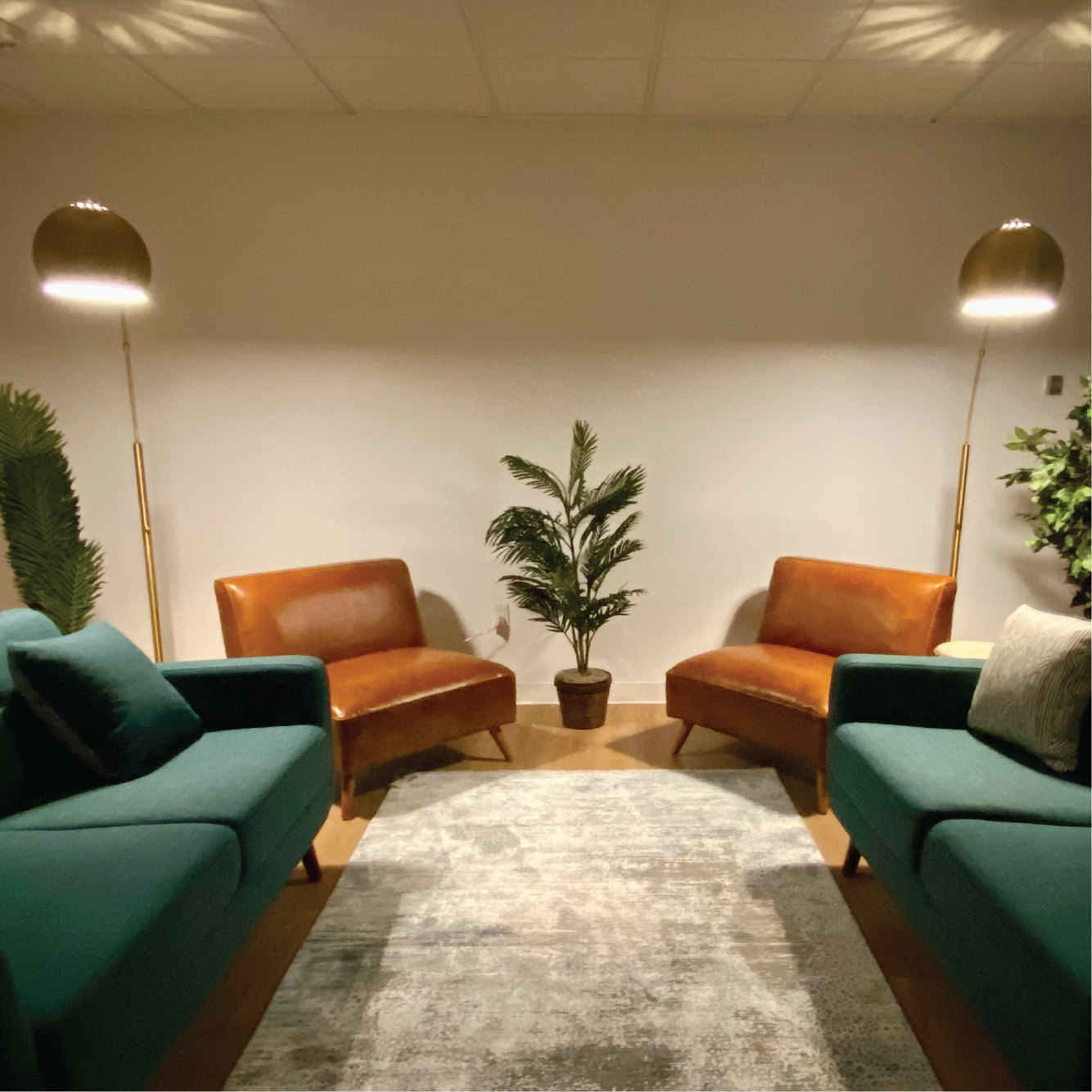 Softly lit room interior with a potted plant